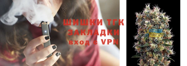 индика Лагань