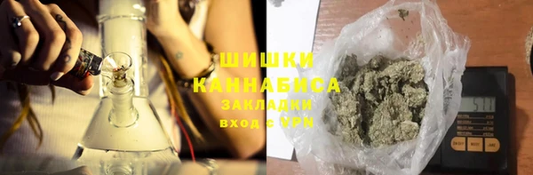 индика Лагань