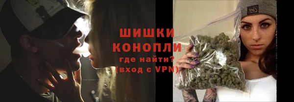 индика Лагань