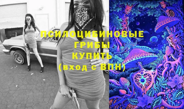 PSILOCYBIN Лабытнанги