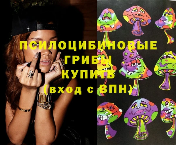 PSILOCYBIN Лабытнанги