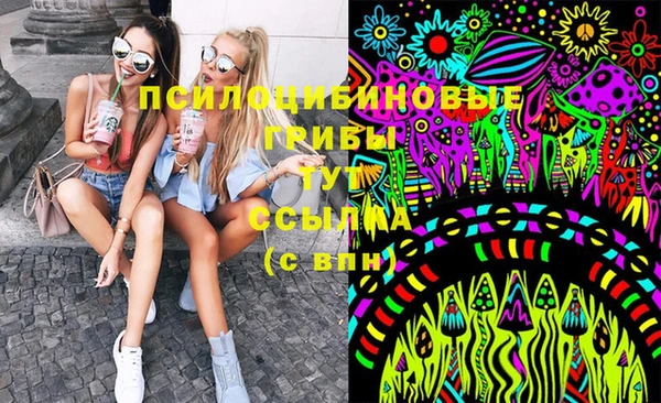 индика Лагань