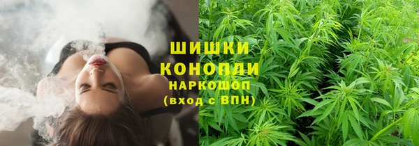 индика Лагань