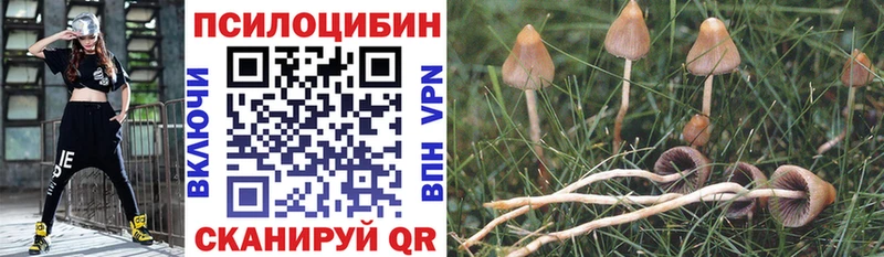 цены наркотик  Катав-Ивановск  Галлюциногенные грибы мухоморы 